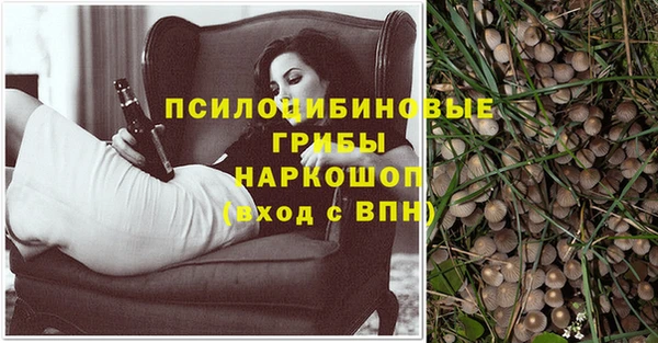 герыч Дмитров