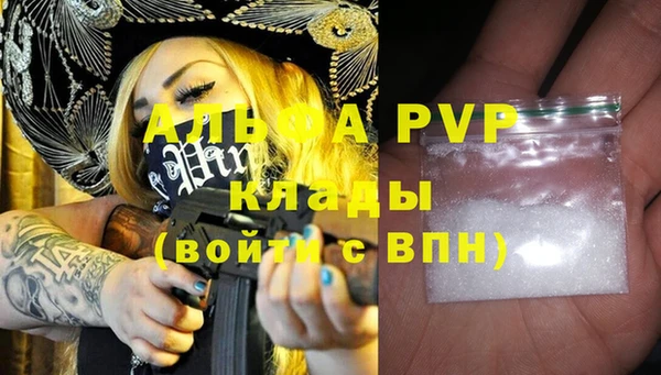 тгк Дмитровск