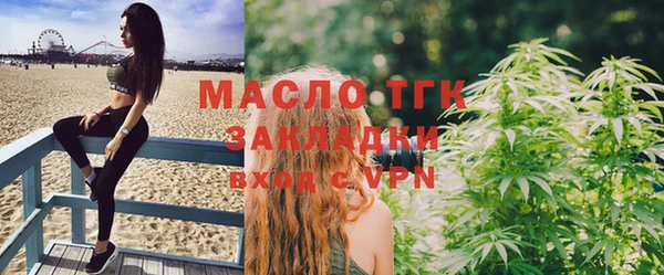 тгк Дмитровск