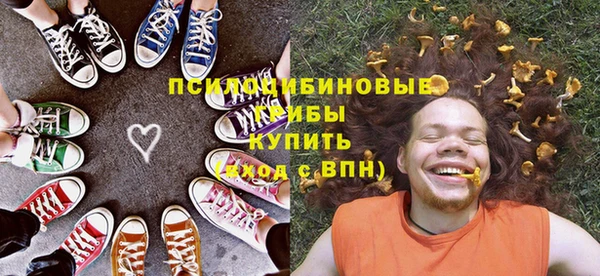 тгк Дмитровск