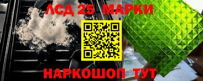 прущие грибы Заводоуковск