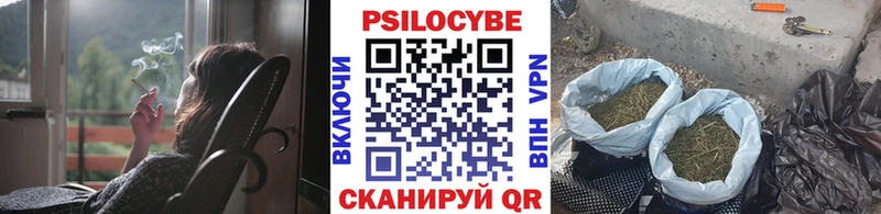 Галлюциногенные грибы Cubensis  Мценск 
