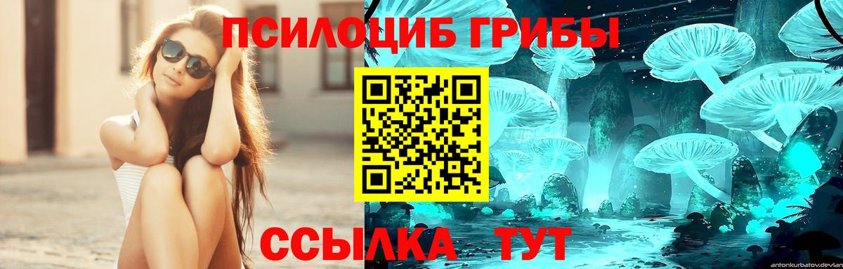Галлюциногенные грибы Psilocybe  Вход с VPN  Мценск 